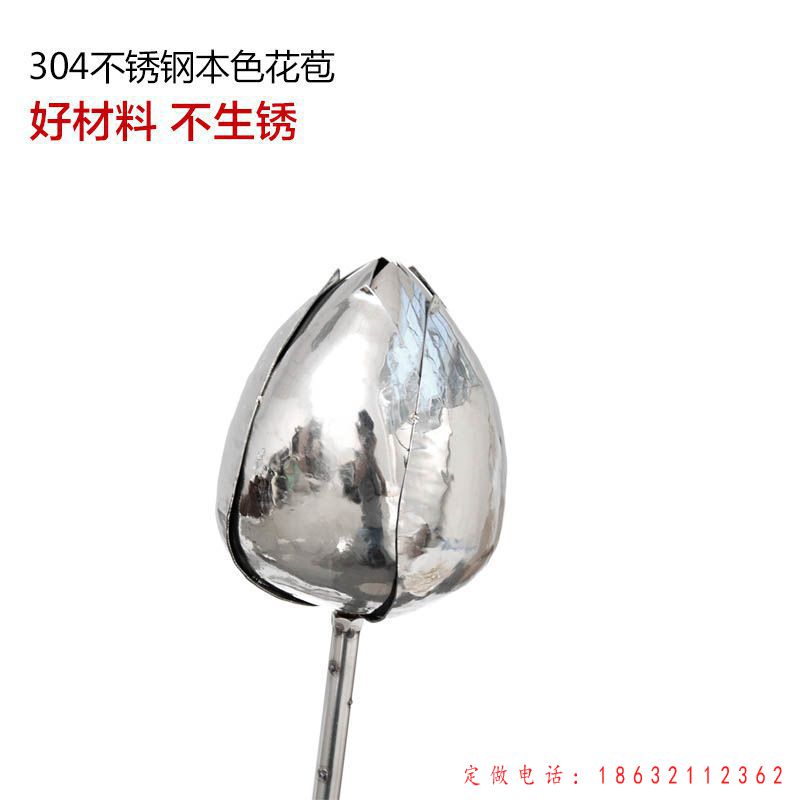 莲花不锈钢雕塑（3）
