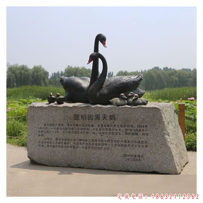 城市黑天鹅动物标志铜雕（1）